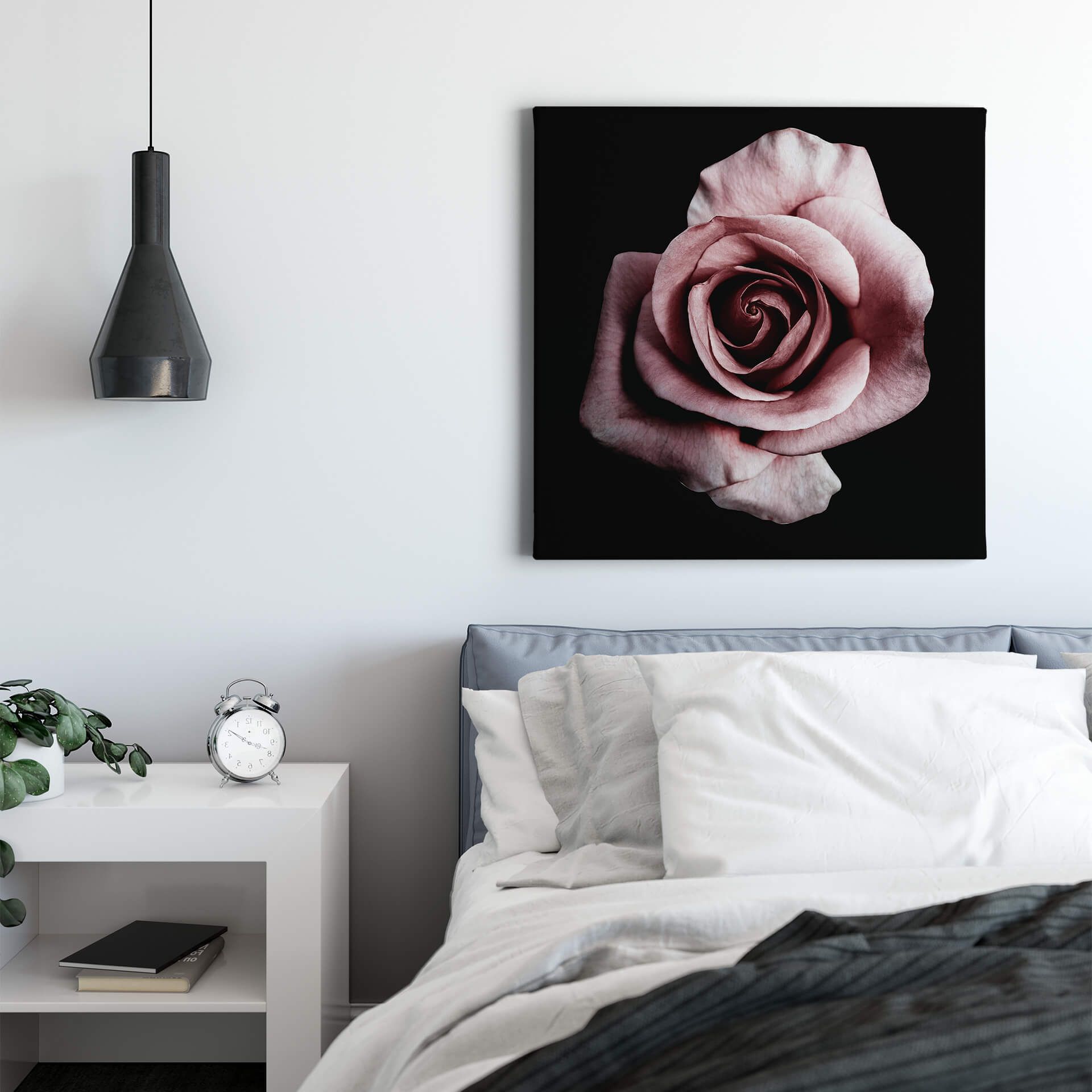 Leinwandbild Rose, rosa, 50x50 cm DD123256