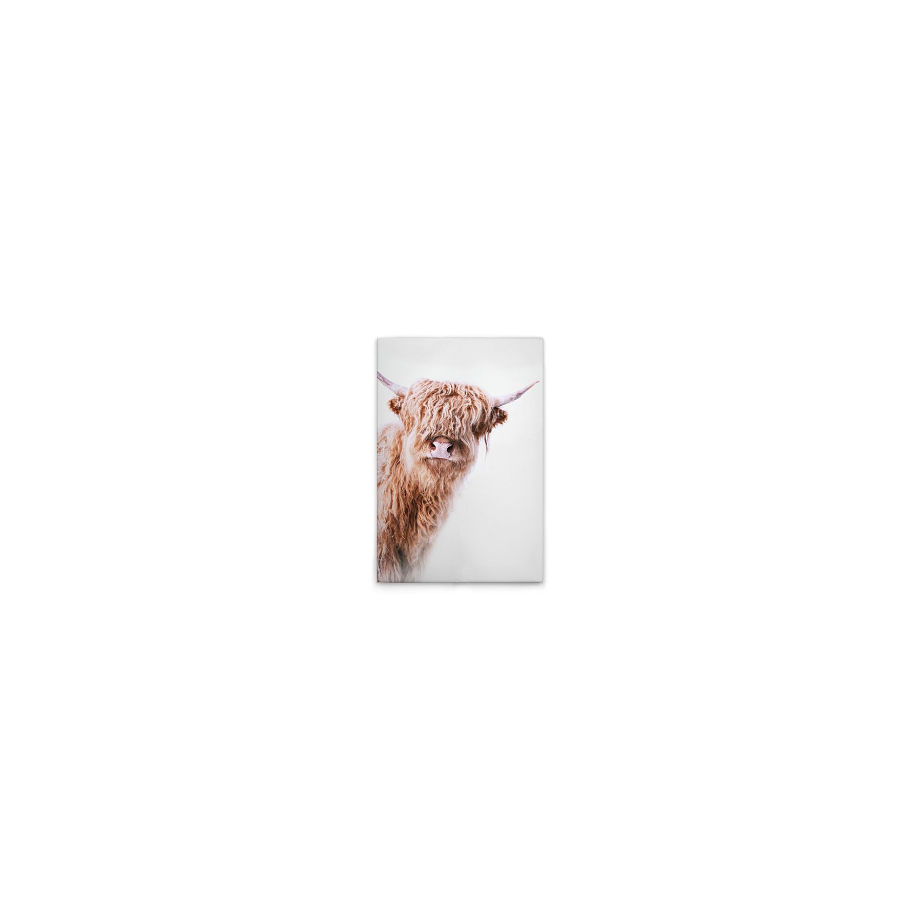 Leinwand Highland Cattle II 30 x 45 cm Leinwand Highland Cattle II 30 x 45 cm
