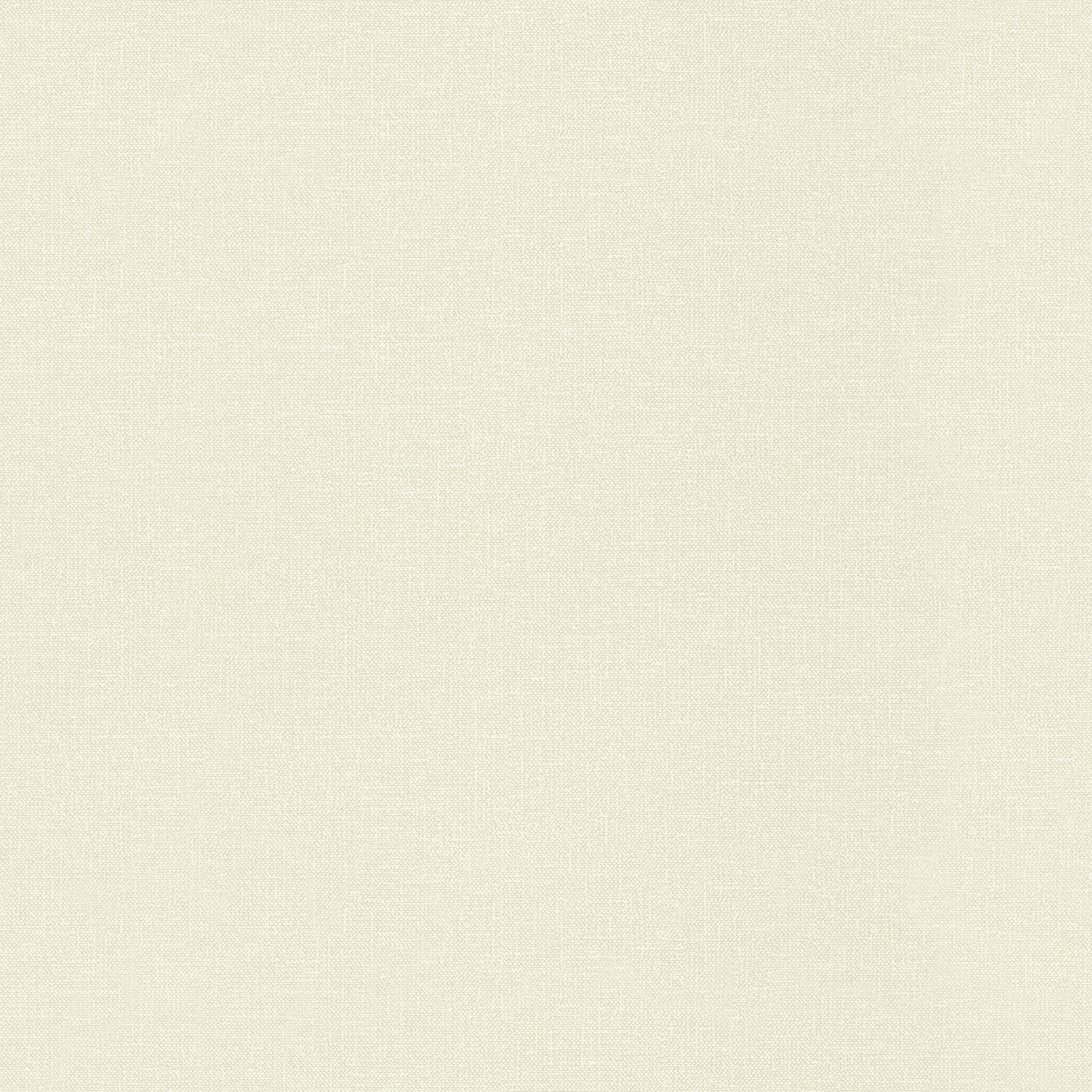Rasch Textil Blush WWW 148739 Beige Uni Dekorbild