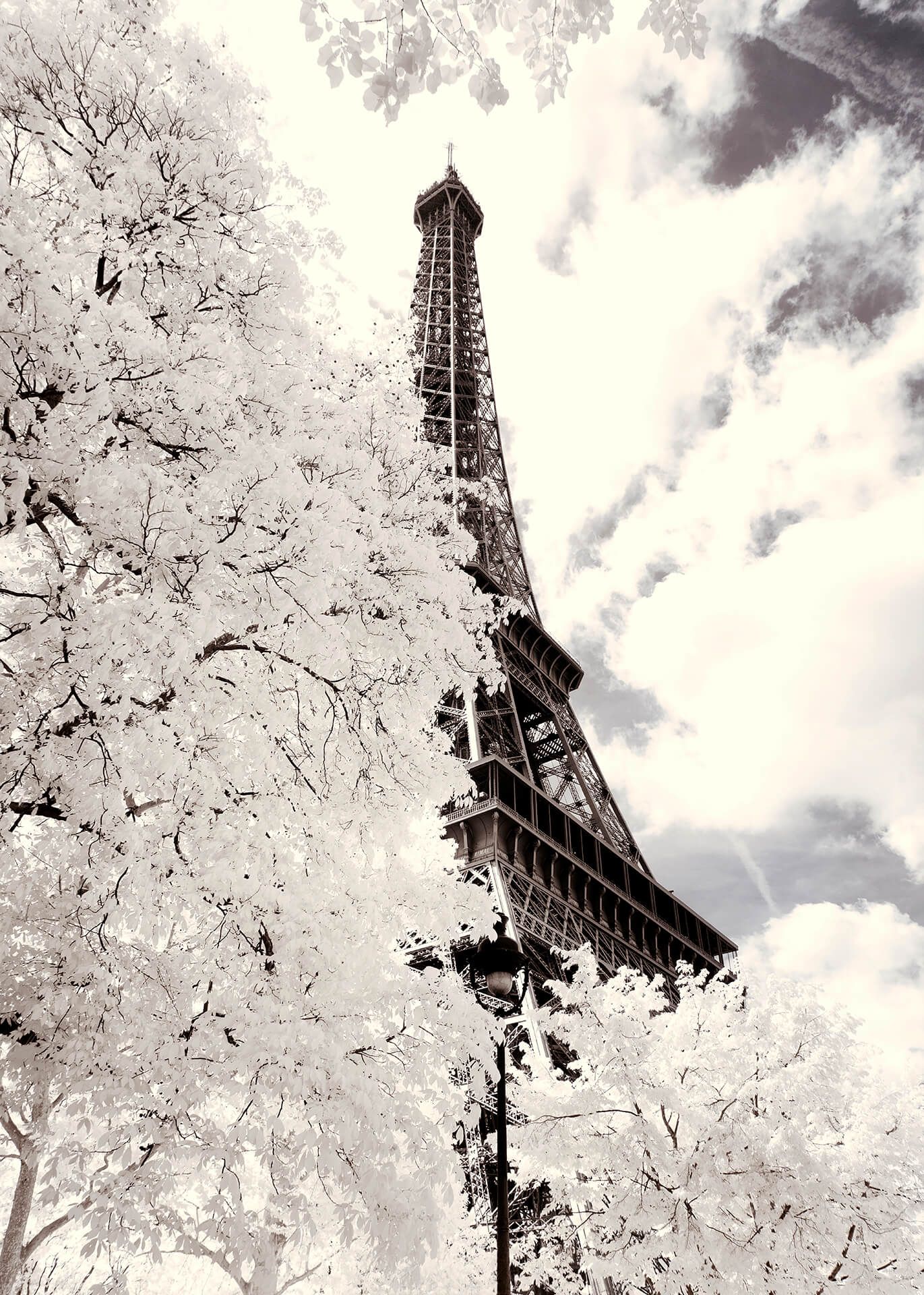 Leinwandbild Eiffelturm, sepia, 50x70 cm DD123113