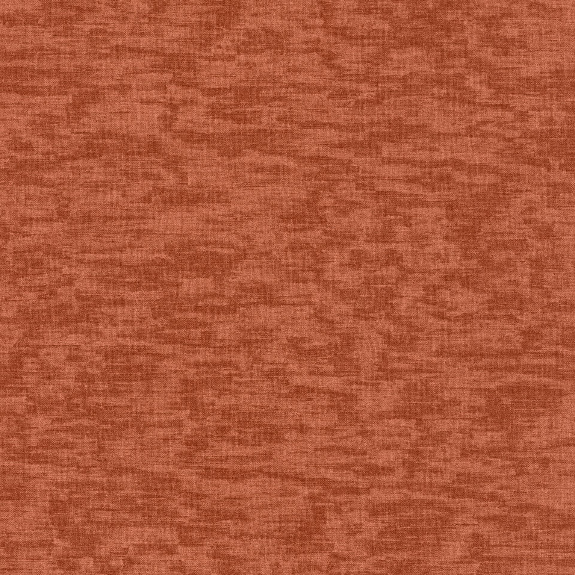 Rasch Kalahari, Unis, rot 449051