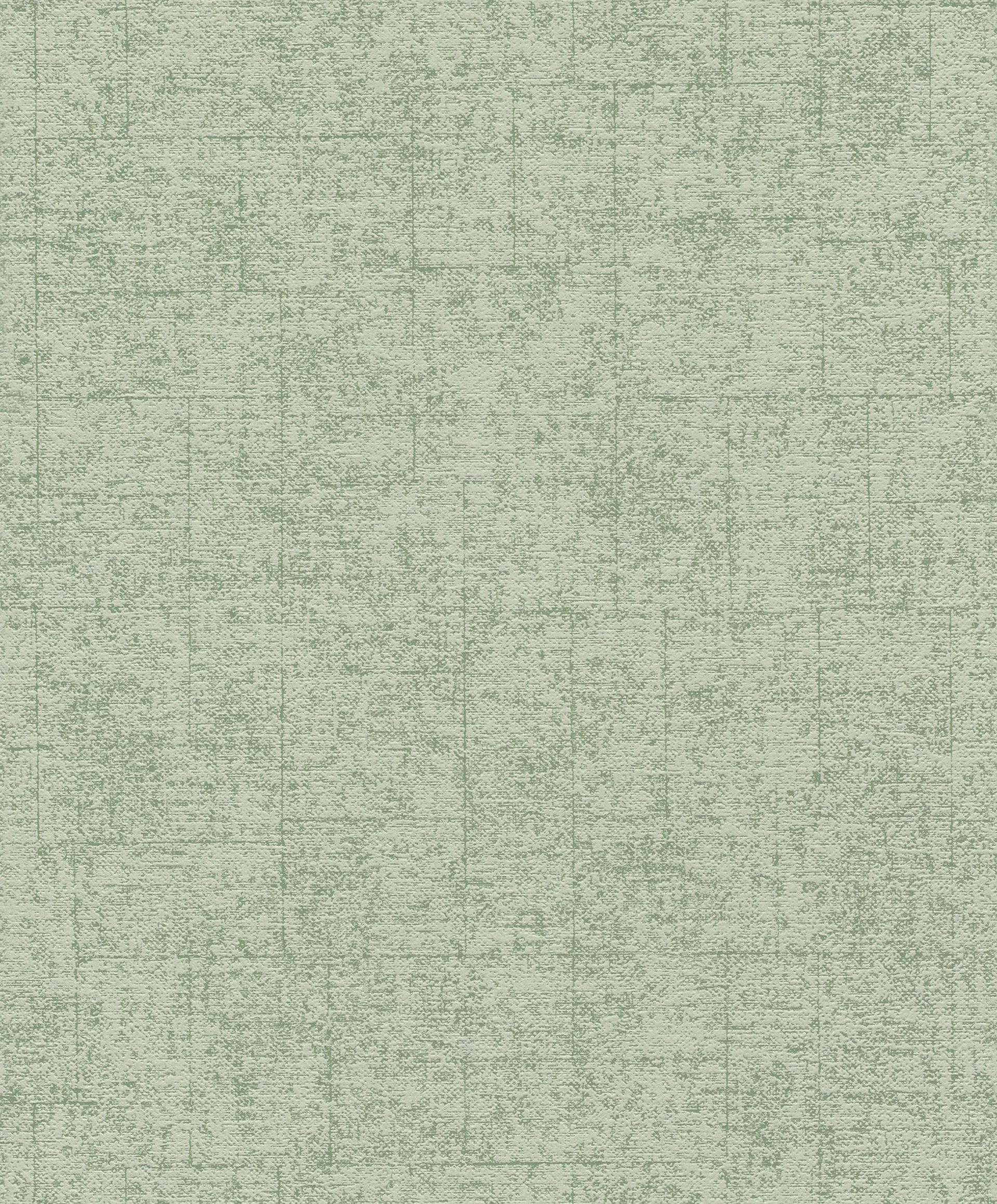 Rasch Tapetenwechsel II, Unis, grün 507843 Dekorbild