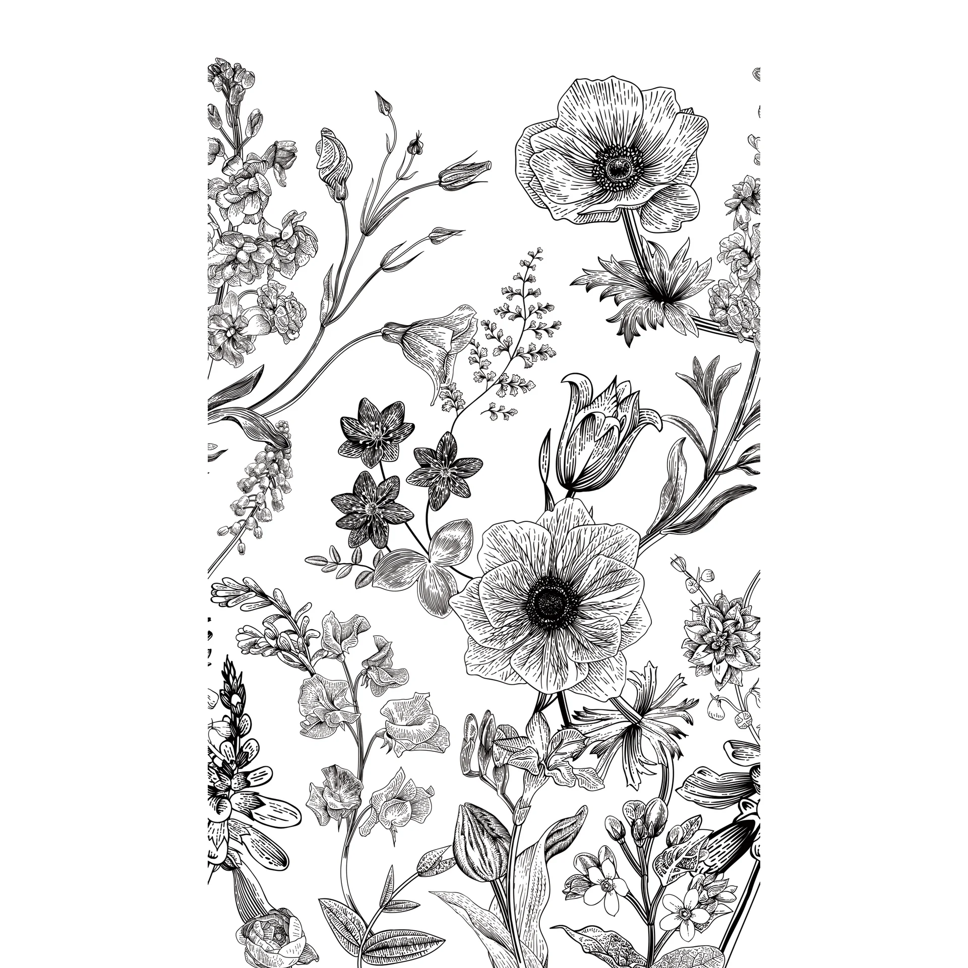 Mural - Young Edition - ML1601 Mural - Young Edition - ML1601