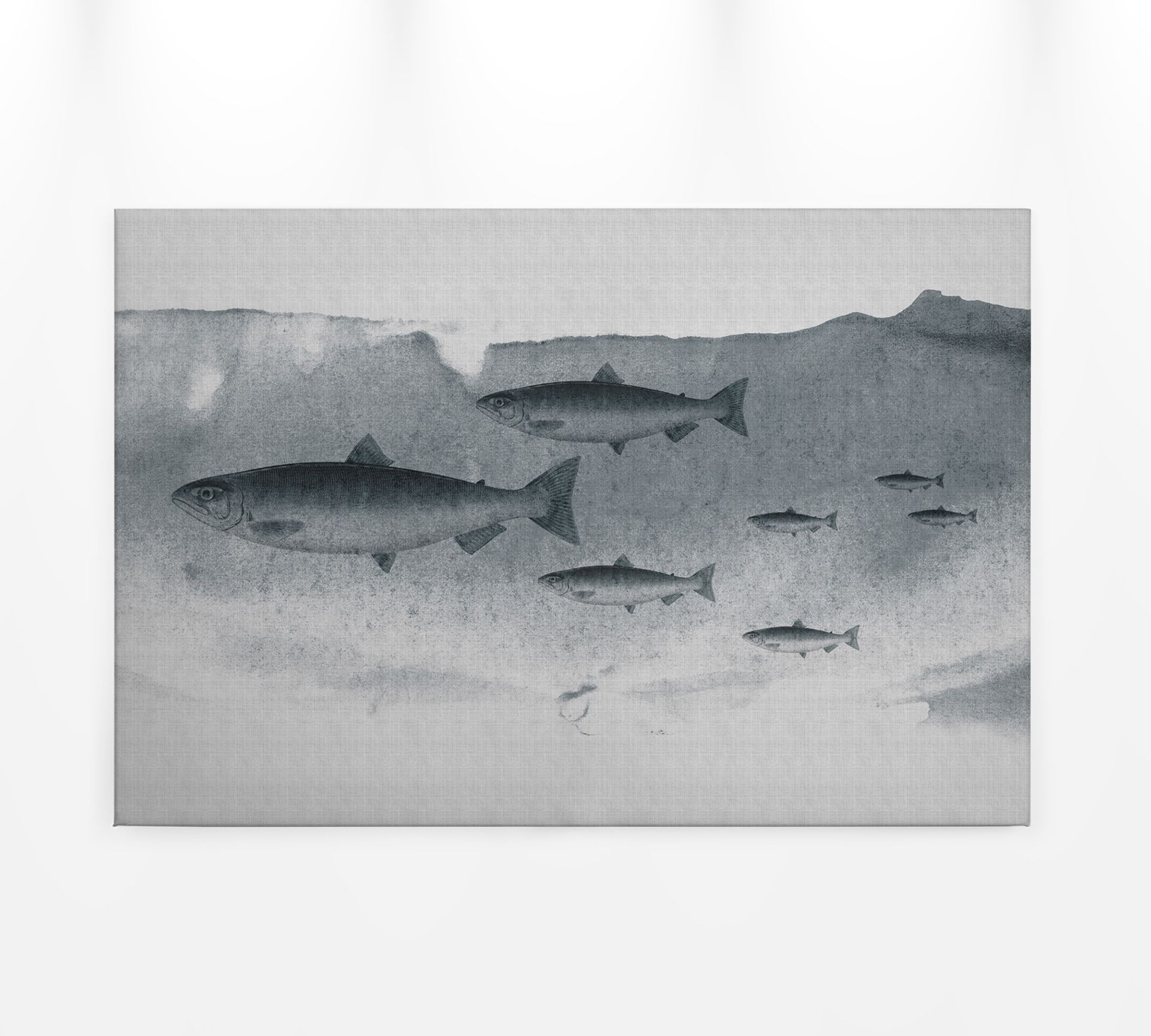 Leinwandbild Fische, grau, 90x60 cm DD120441