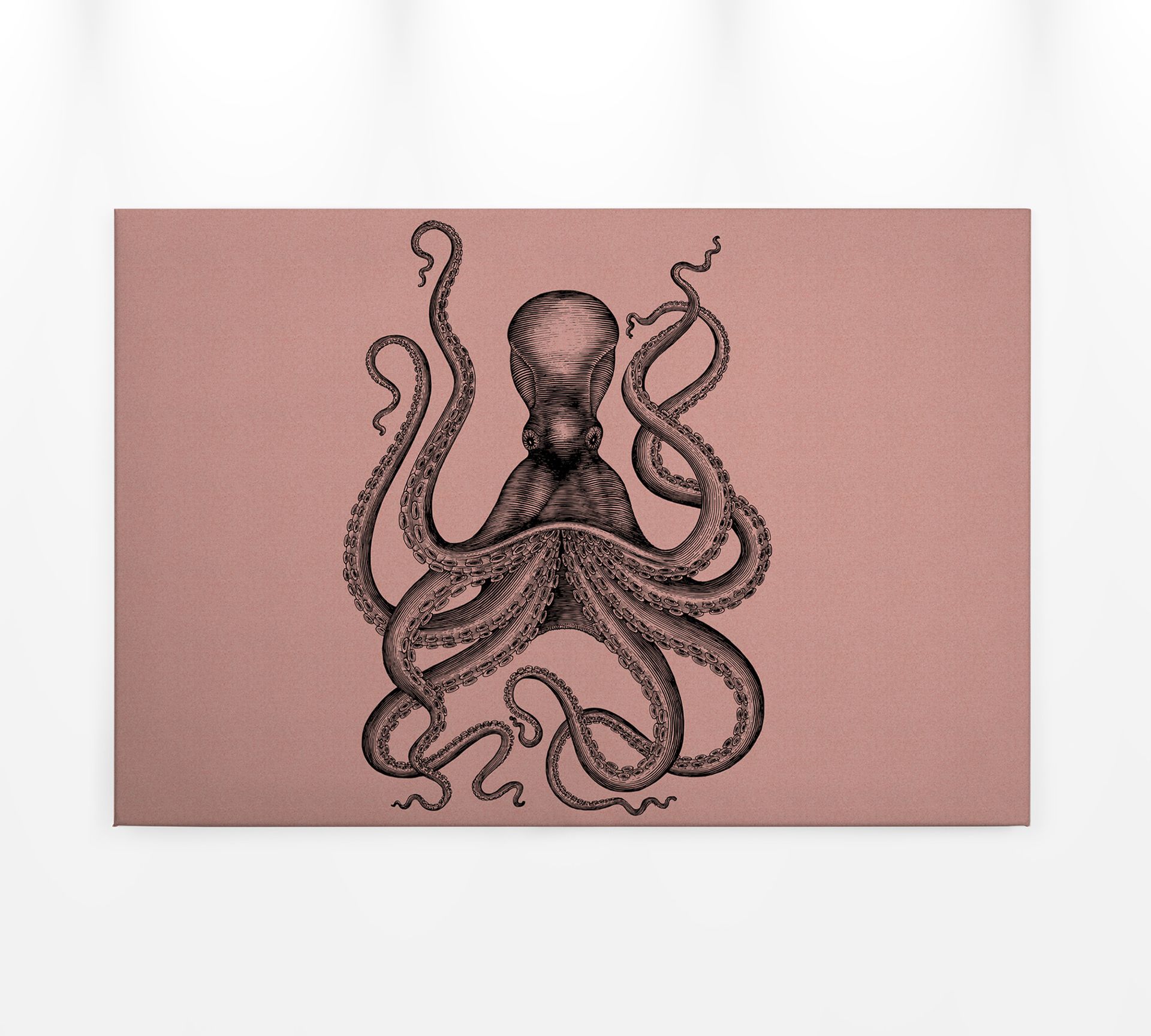 Leinwandbild Krake, rosa, 90x60 cm DD120494