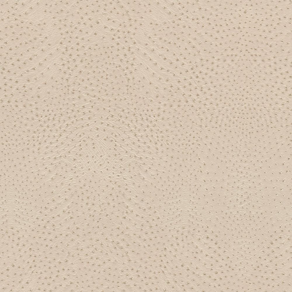 Vinyltapete Rasch Muster & Motive Beige-Hellbeige 751512