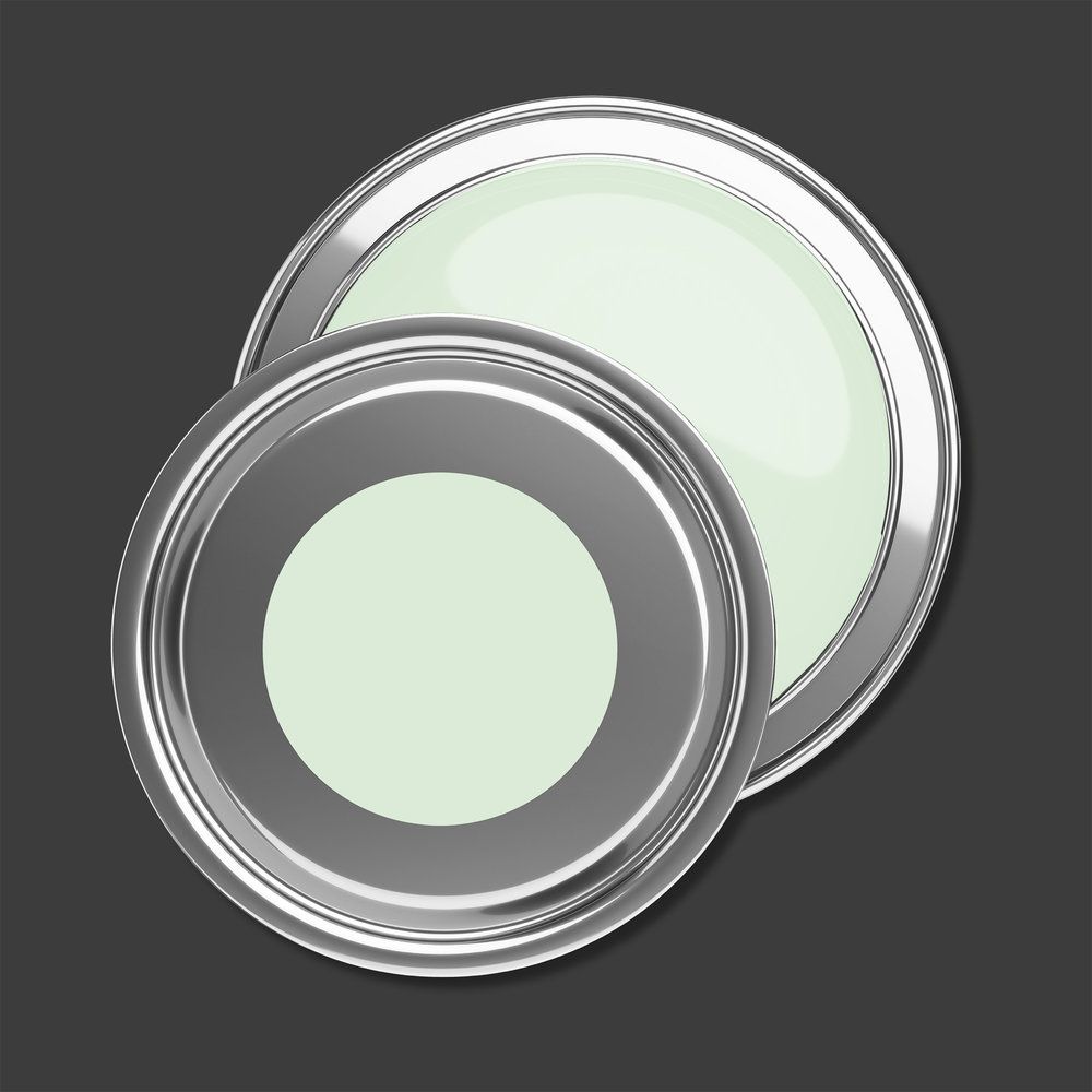 PURO Wandfarbe Grün "Soft Green" C4000