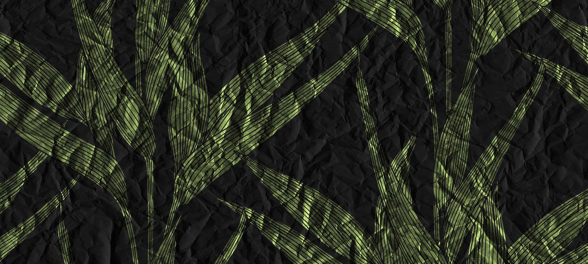 Architects Paper 117140