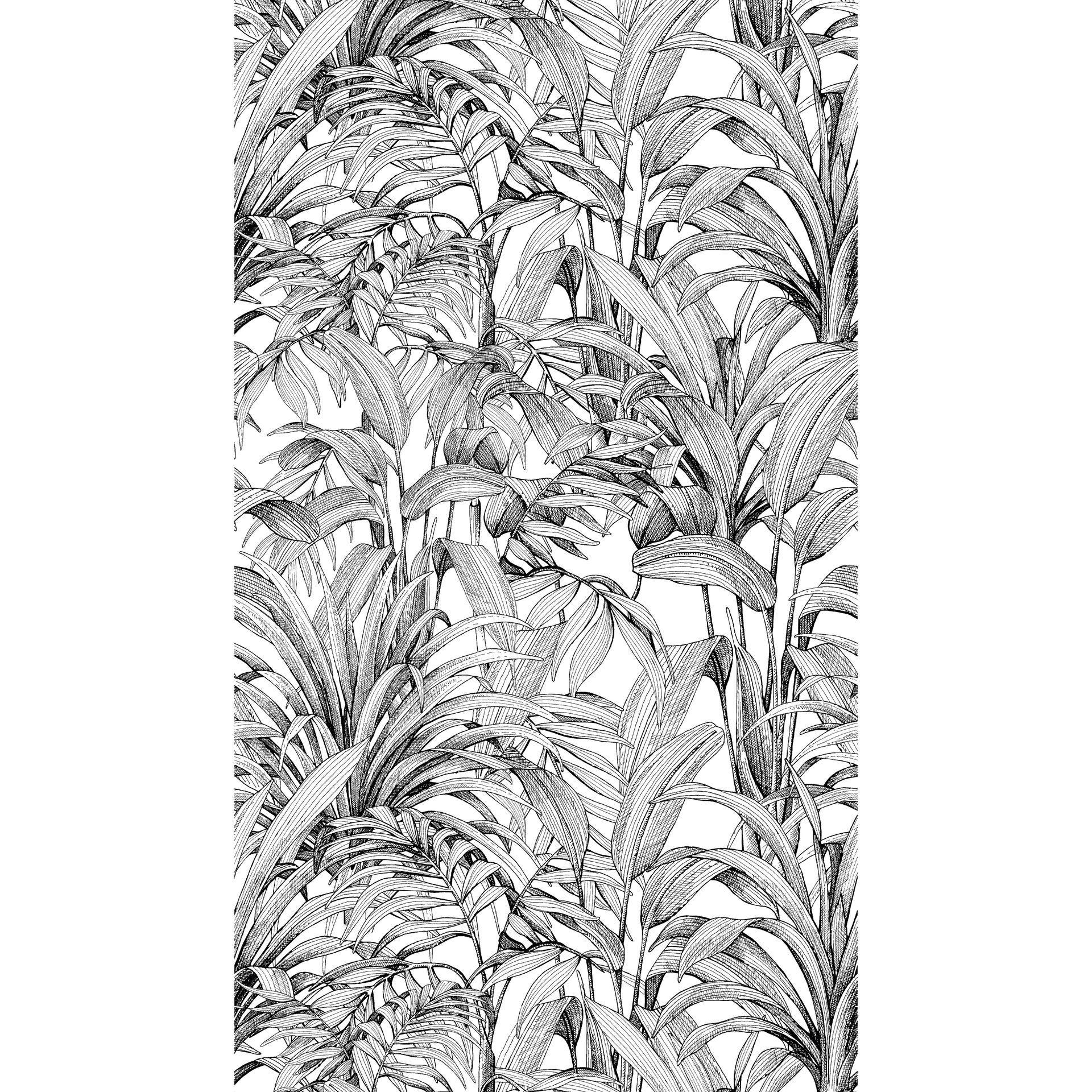 Vliestapete Palmen Schwarz-Weiß Grandeco OROM 2 A58301