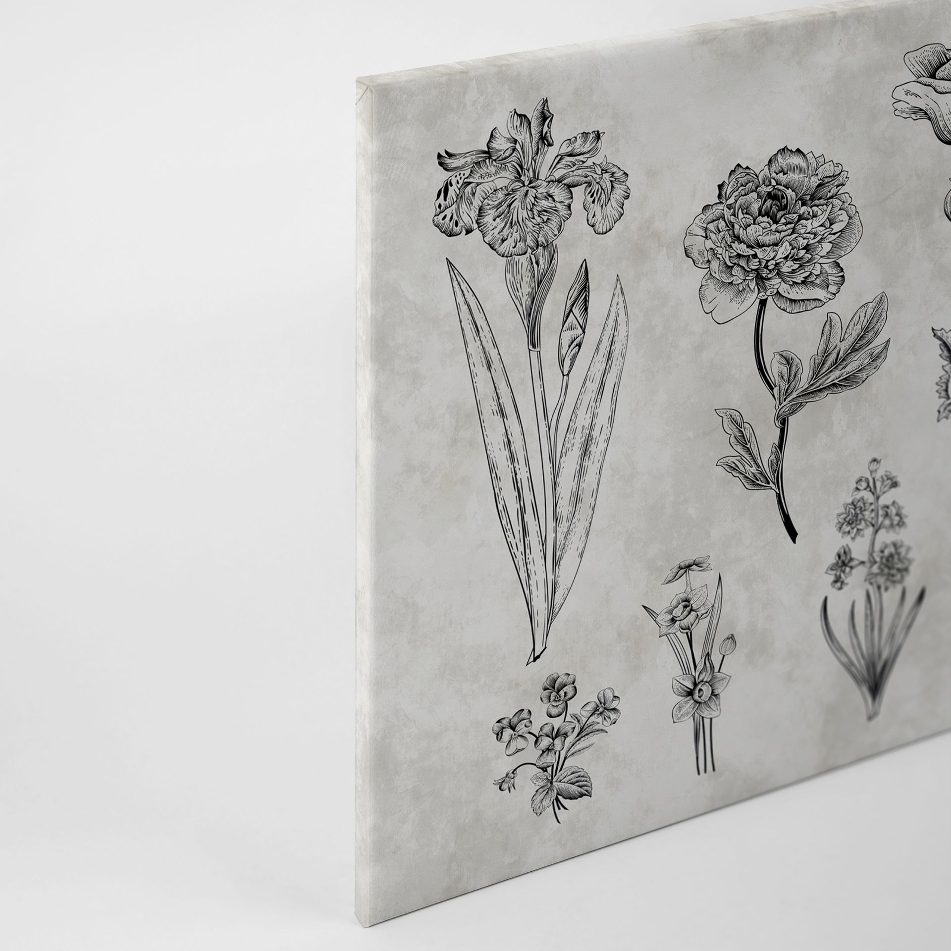 Leinwandbild Floralillustrationen, grau, 90x60 cm DD120364