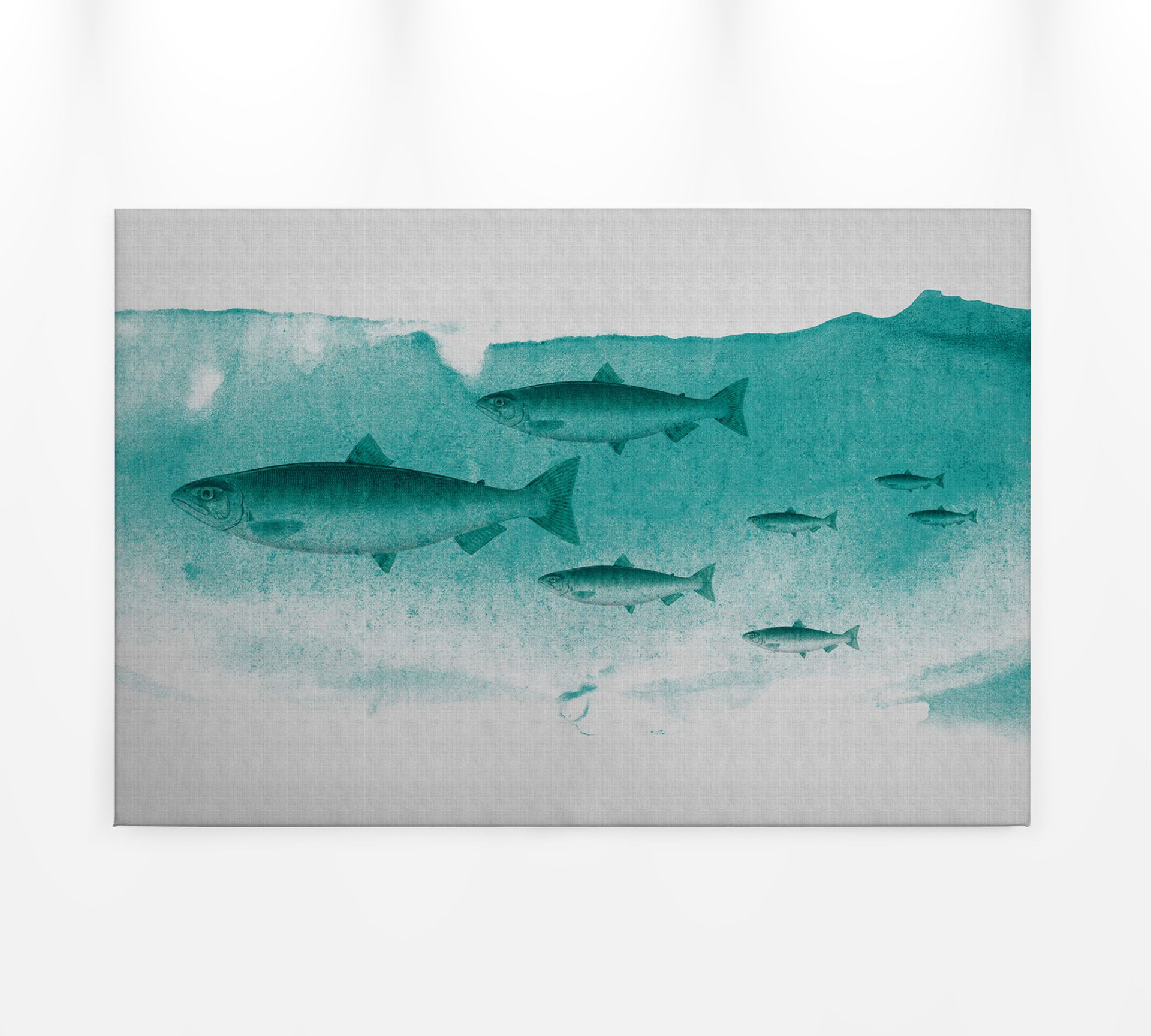 Leinwandbild Fische, türkis, 90x60 cm DD120440