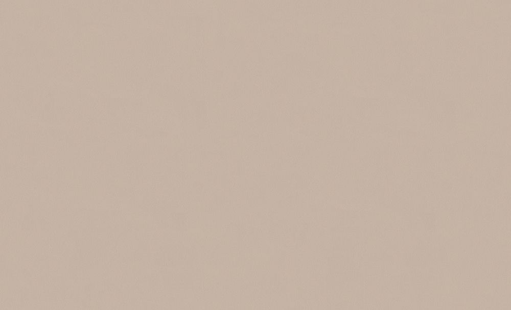 Architects Paper Longlife Colours, Unis, beige 307256