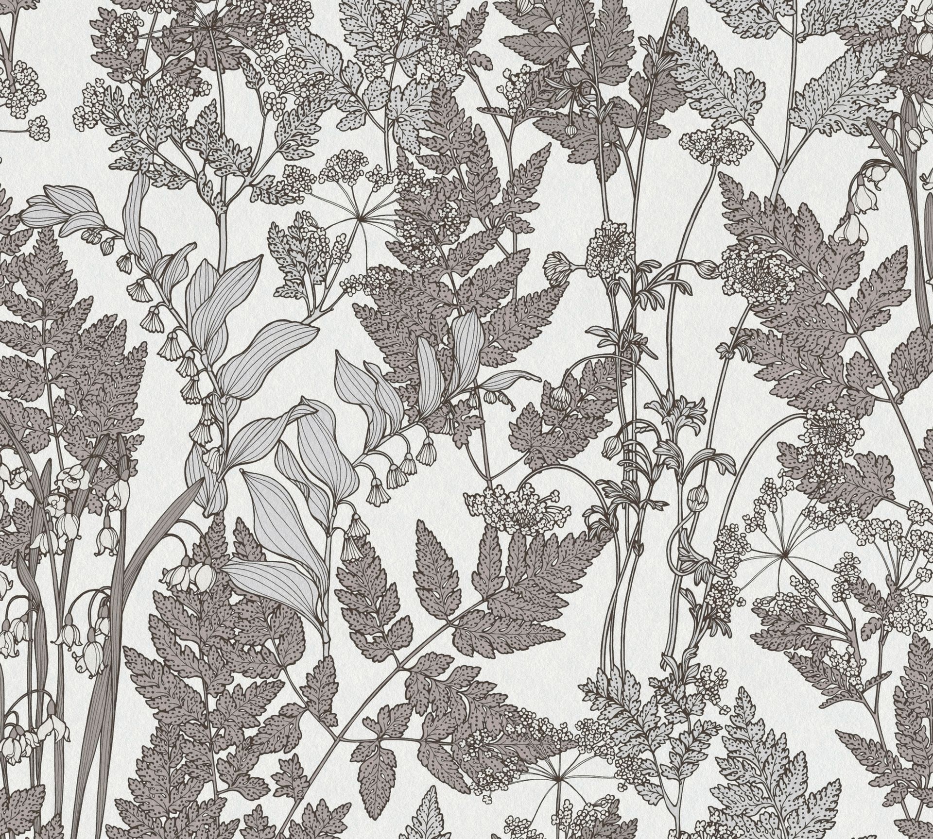 Architects Paper Floral Impression, Florale Tapete, grau, weiß 377521 Dekorbild