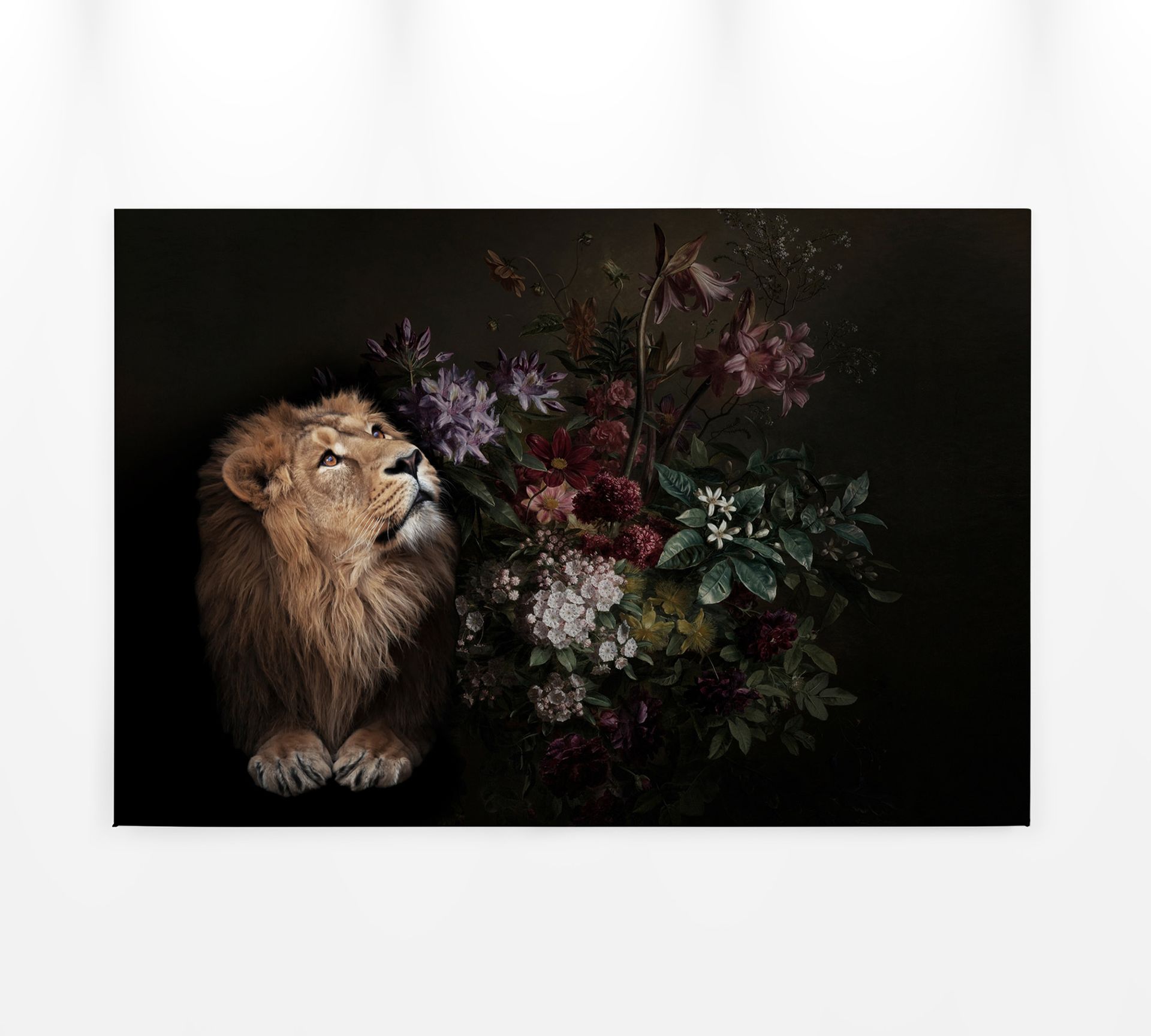 Leinwandbild Löwe, goldbraun, 90x60 cm DD120388