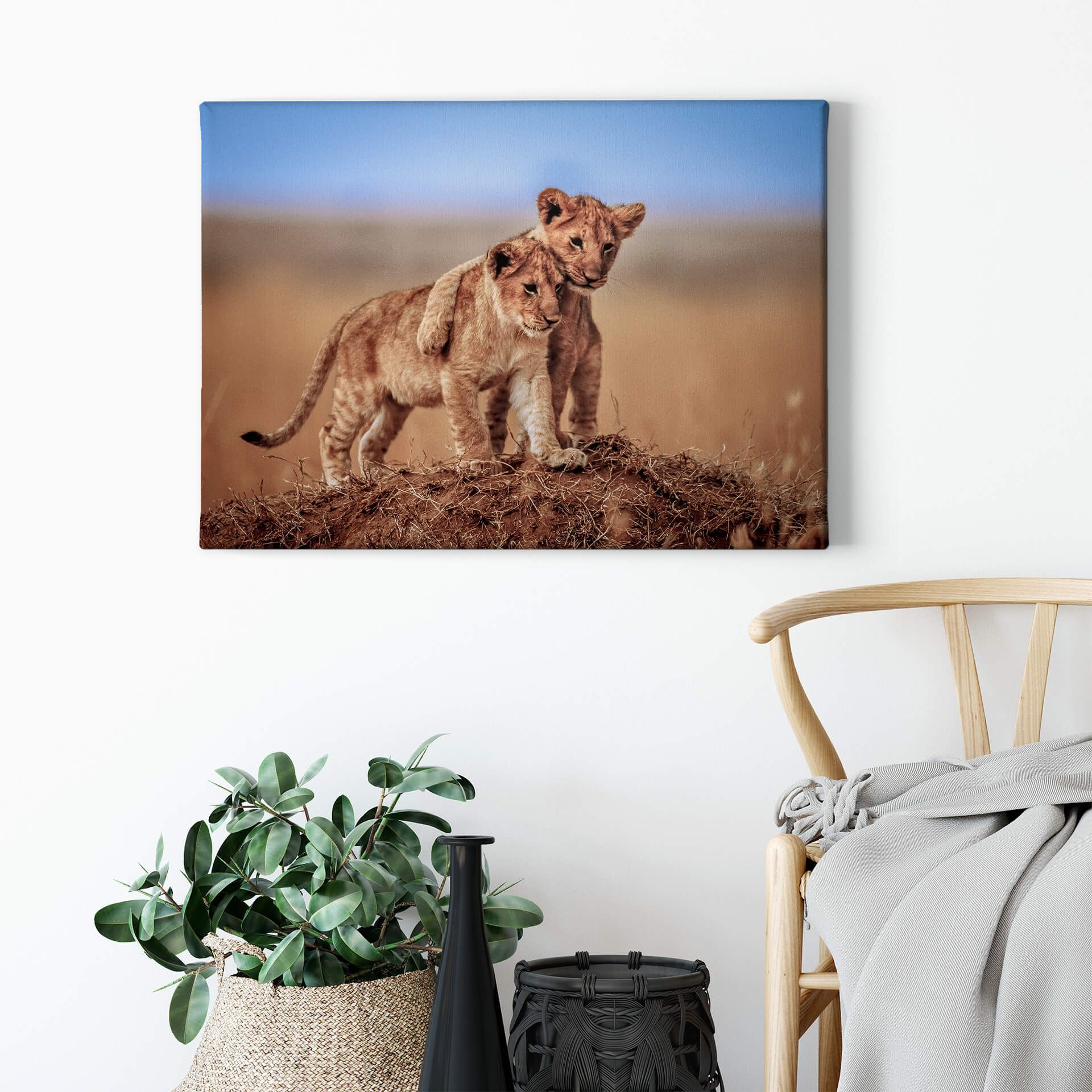 Leinwandbild Löwenjunge, ocker, 70x50 cm DD123109