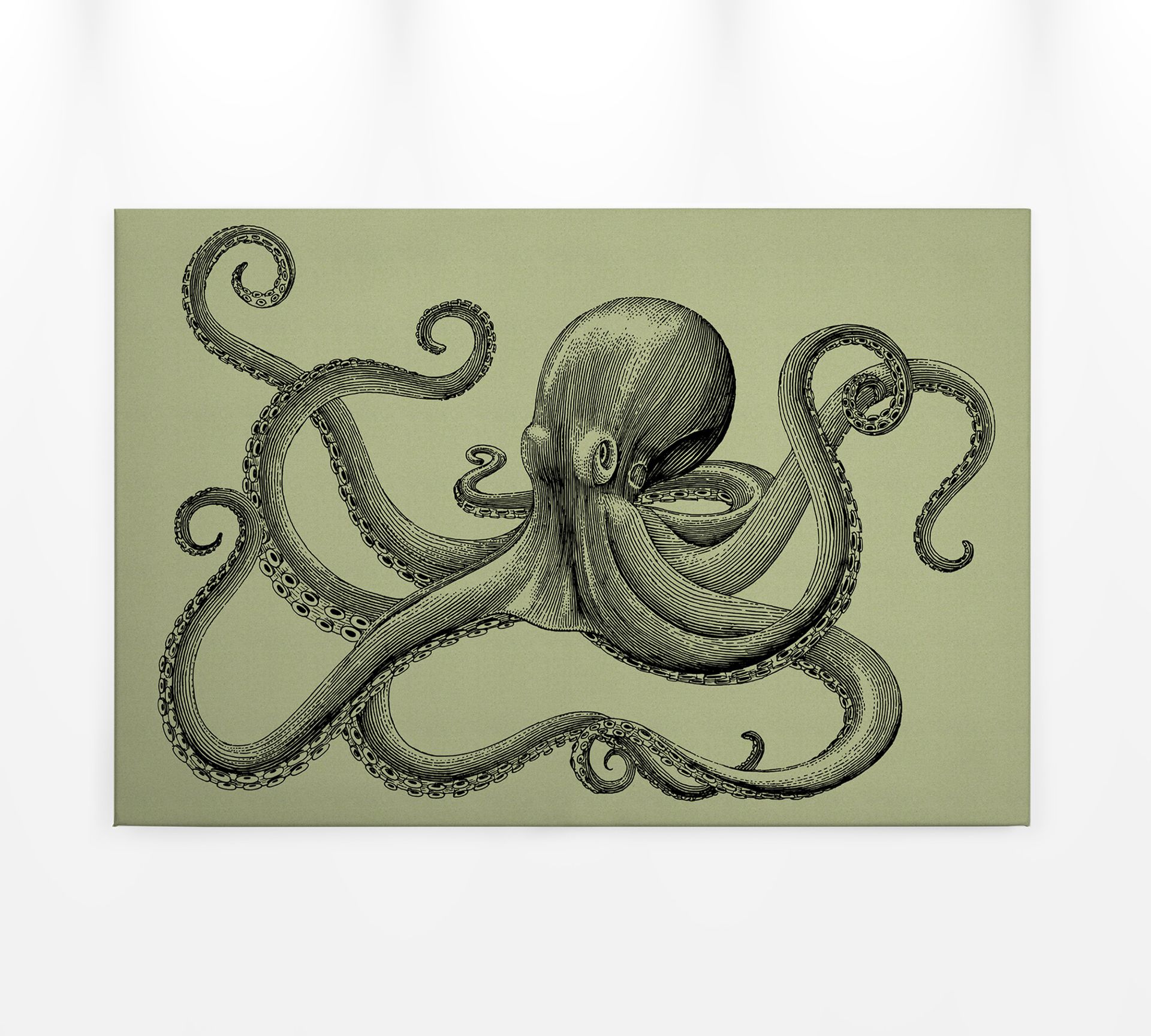 Leinwandbild Oktopus, olivgrün, 90x60 cm DD120496