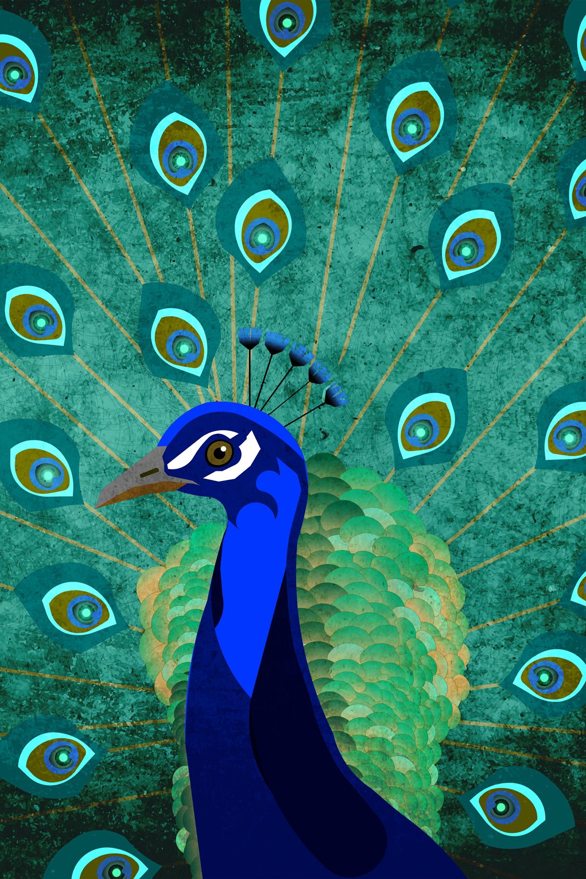 Leinwand Peacock 40 x 60 cm