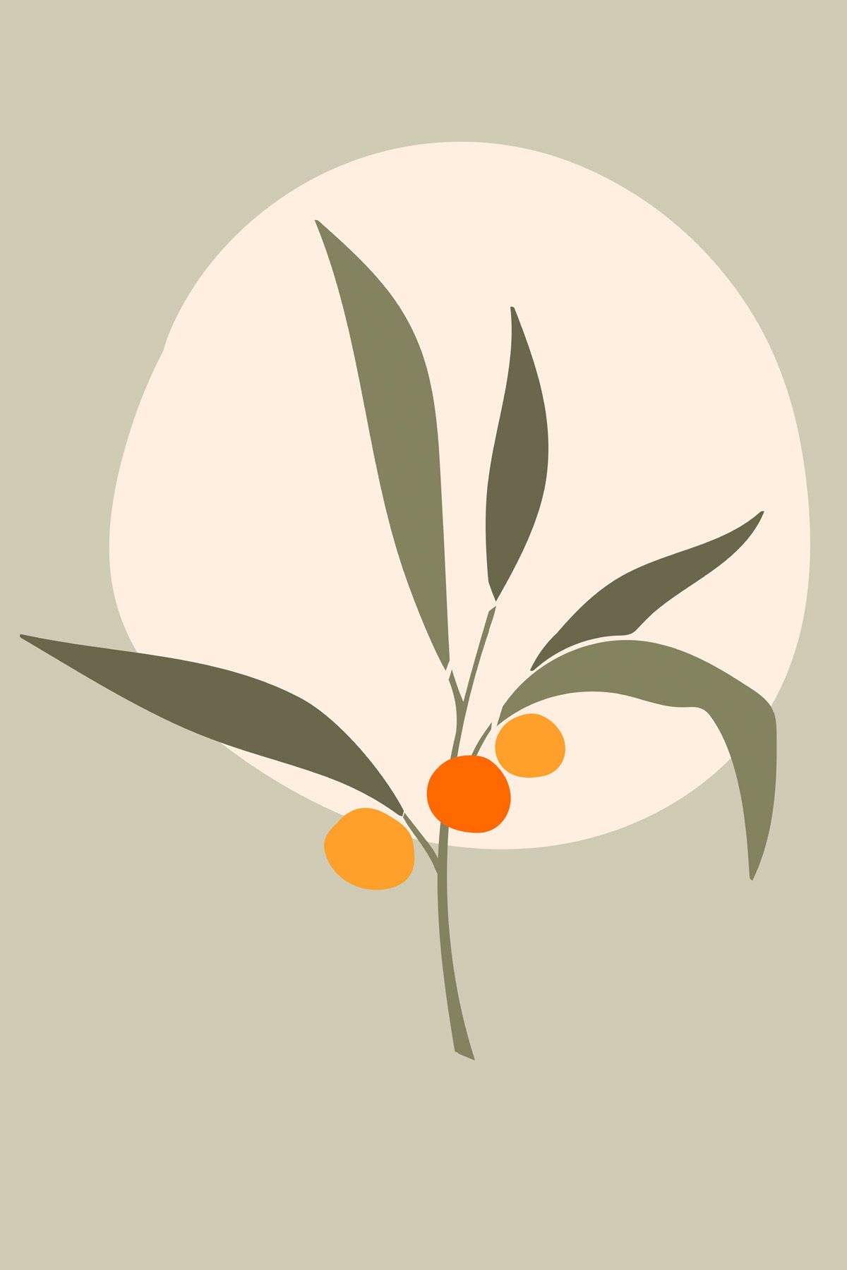 Leinwand Olive III 60 x 90 cm