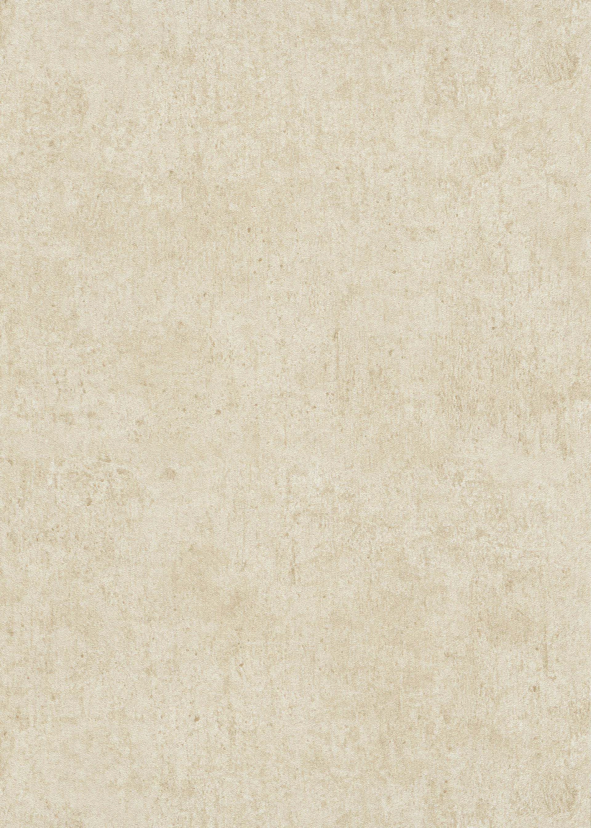 Unistapete Putzoptik beige Erismann 1041802 Unistapete Putzoptik beige Erismann 1041802