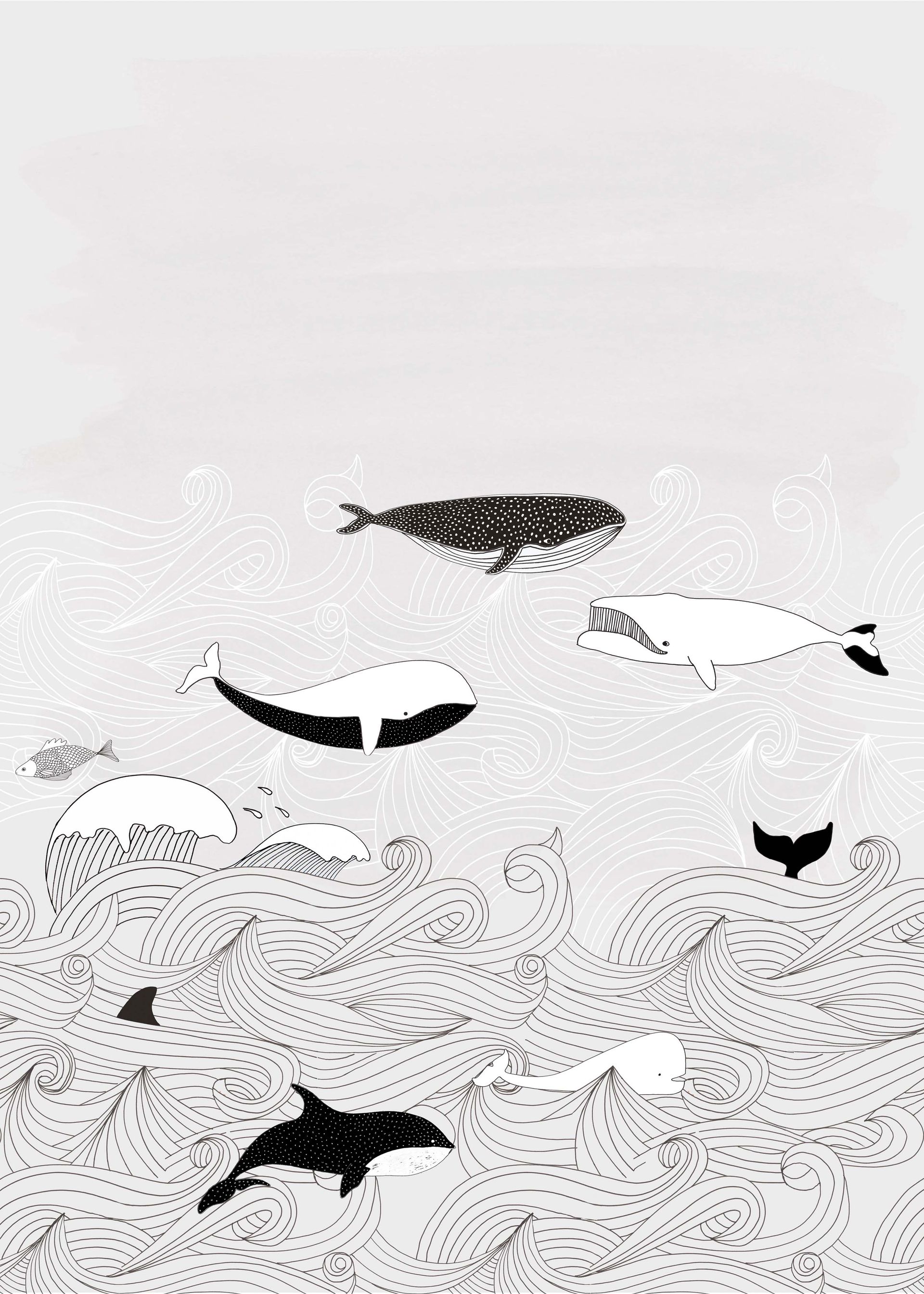 Rasch Selection Digital, Kids, grau 842531 Dekorbild