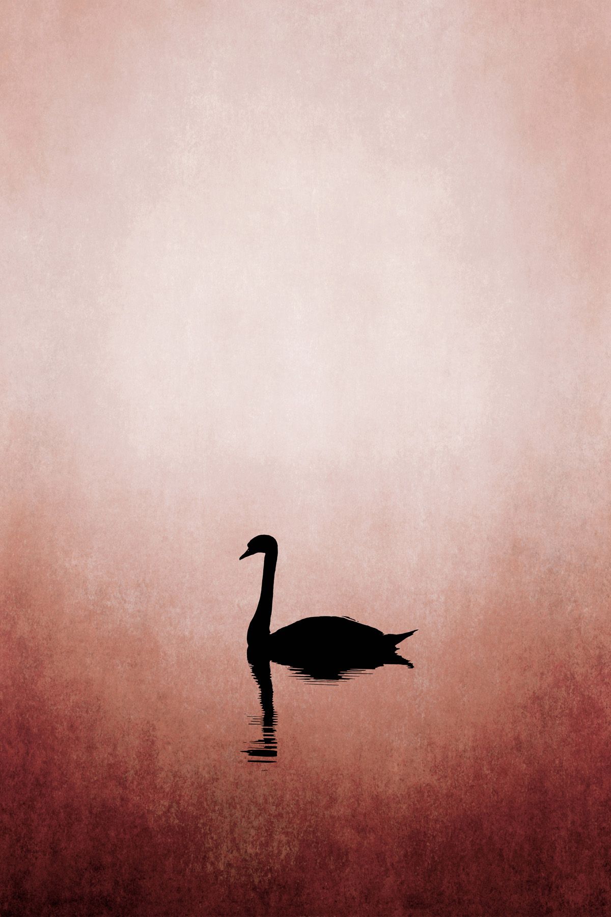 Leinwände Swan Lake