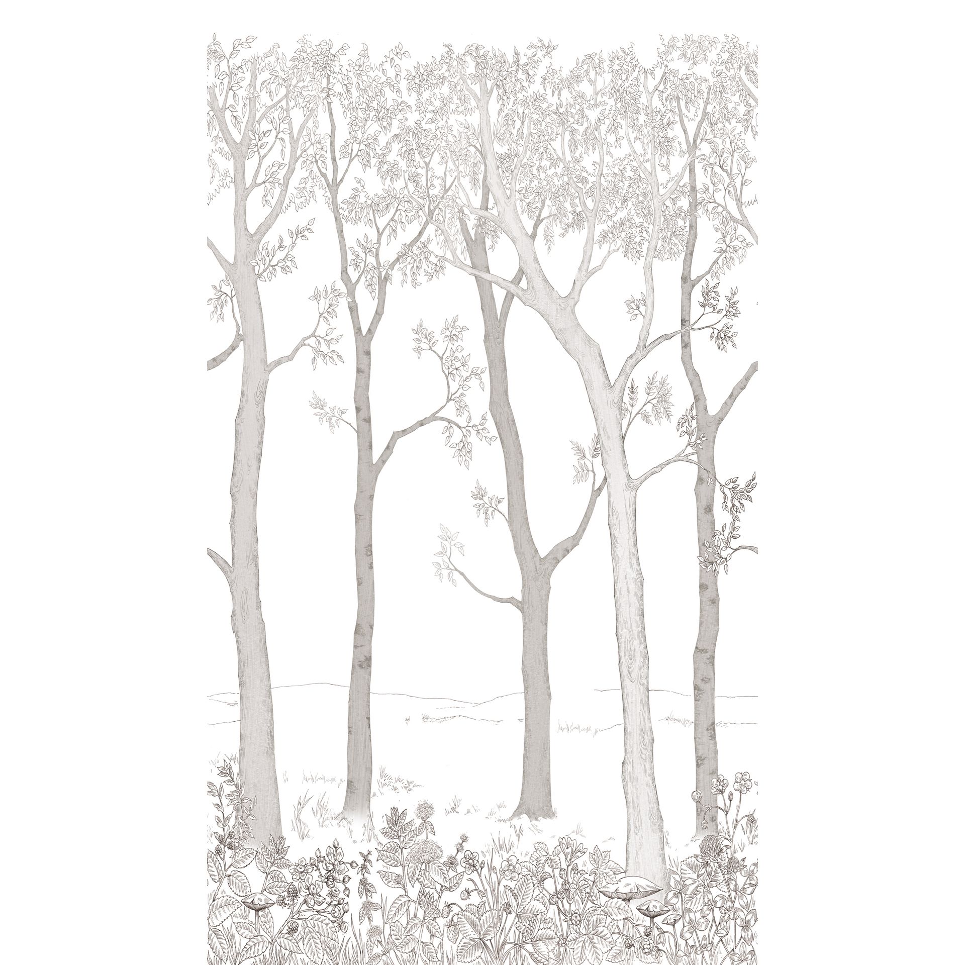 Mural - Young Edition - ML1701 Mural - Young Edition - ML1701