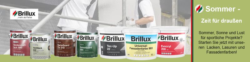 Brillux Anti Schimmel Farbe